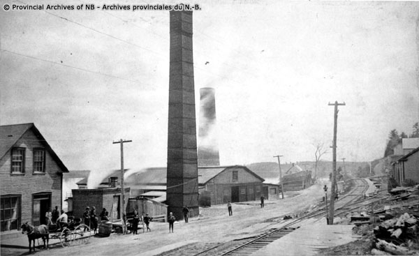 John A. Morrison shingle mill below Fredericton, PANB P132-133